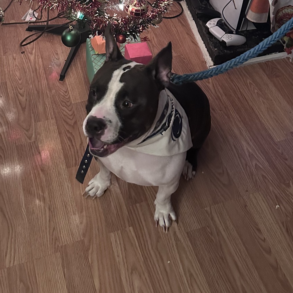 Spicy Mac — thumbnail 3