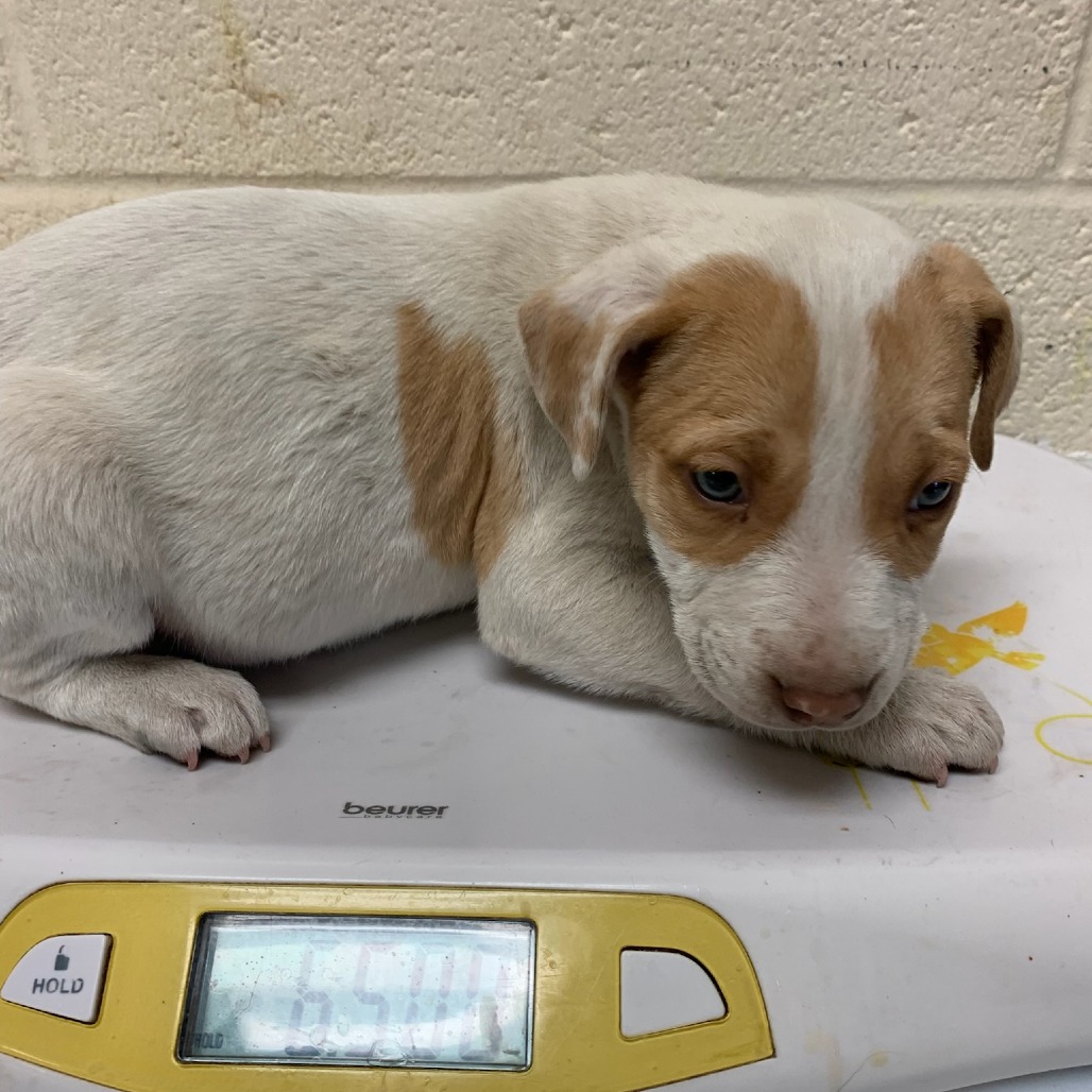 Gucci — thumbnail 2