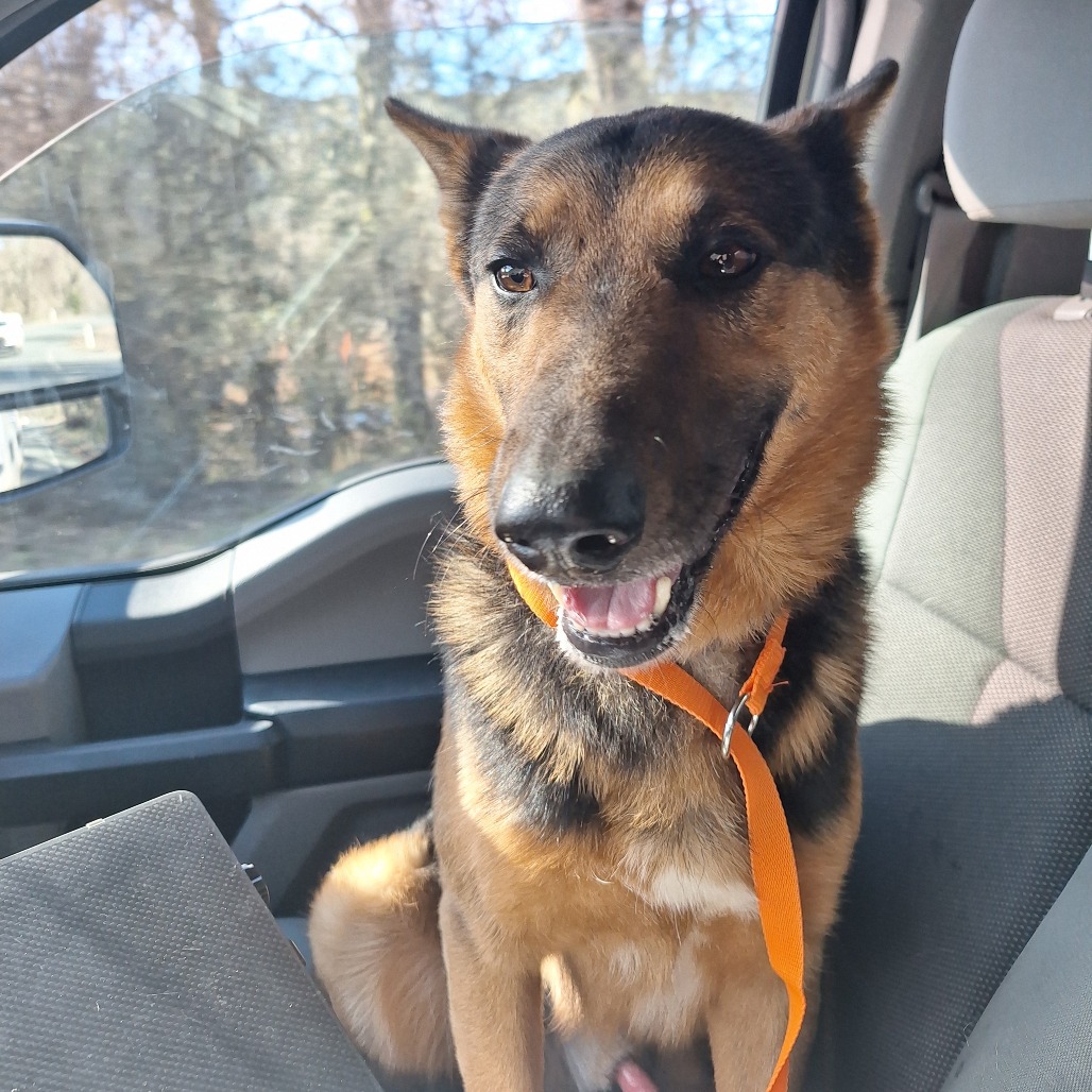 Kennel#2's preview photo