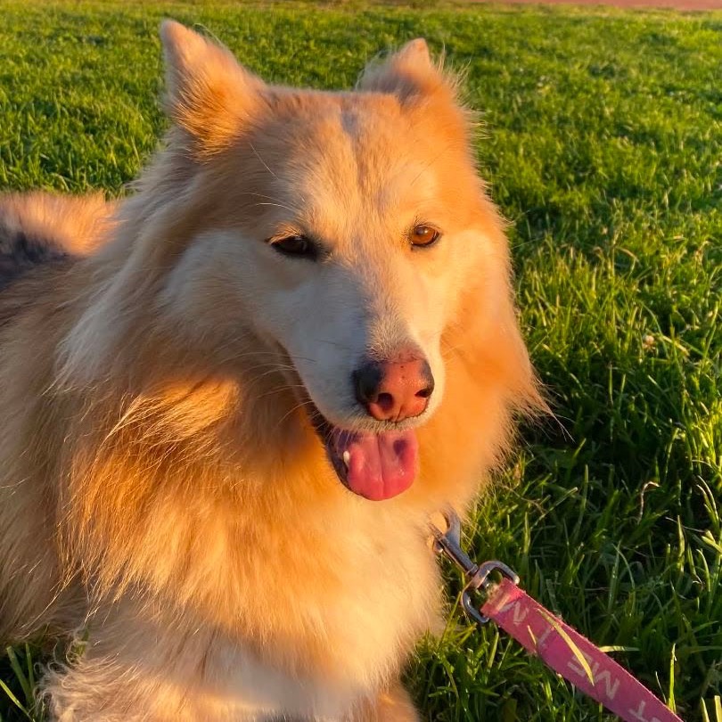 COOKIE, photo 22