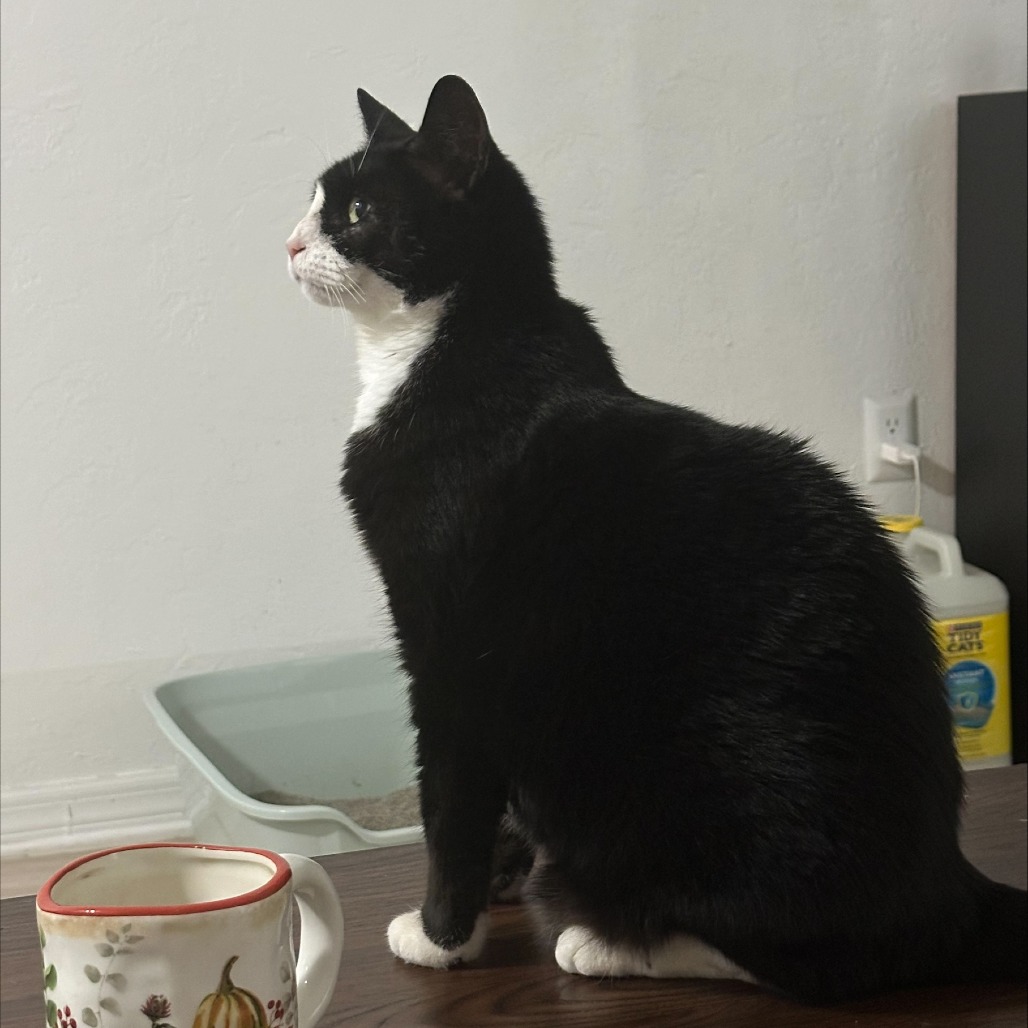 Margie, photo 6