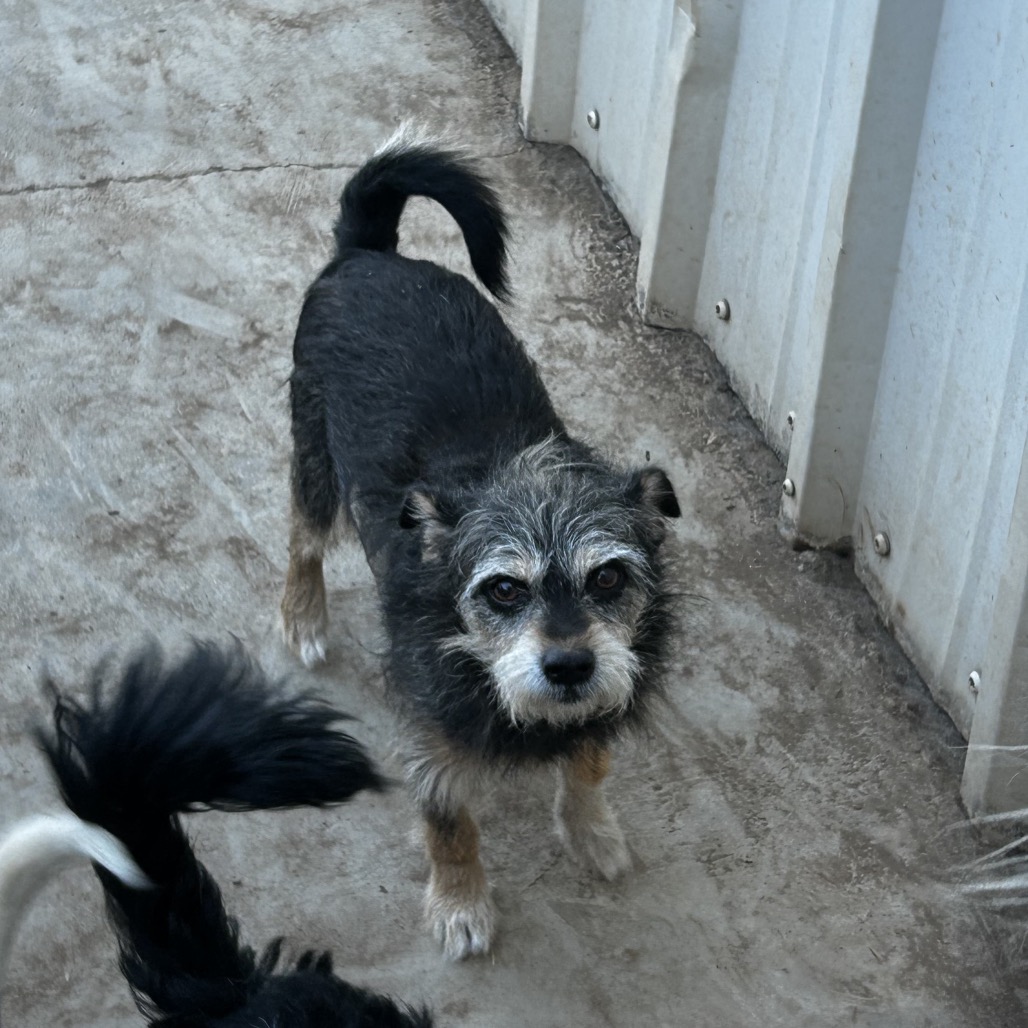 Ronny Roo — thumbnail 2