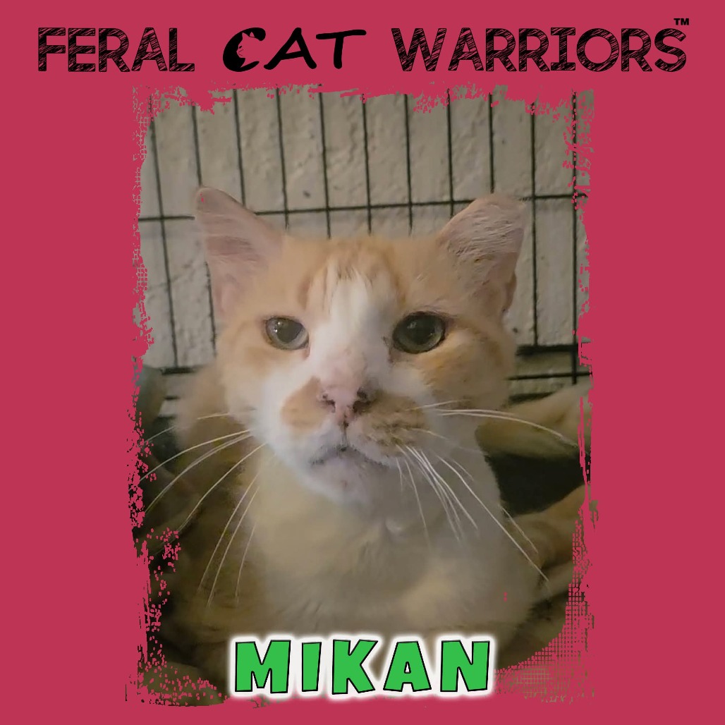 Mikan