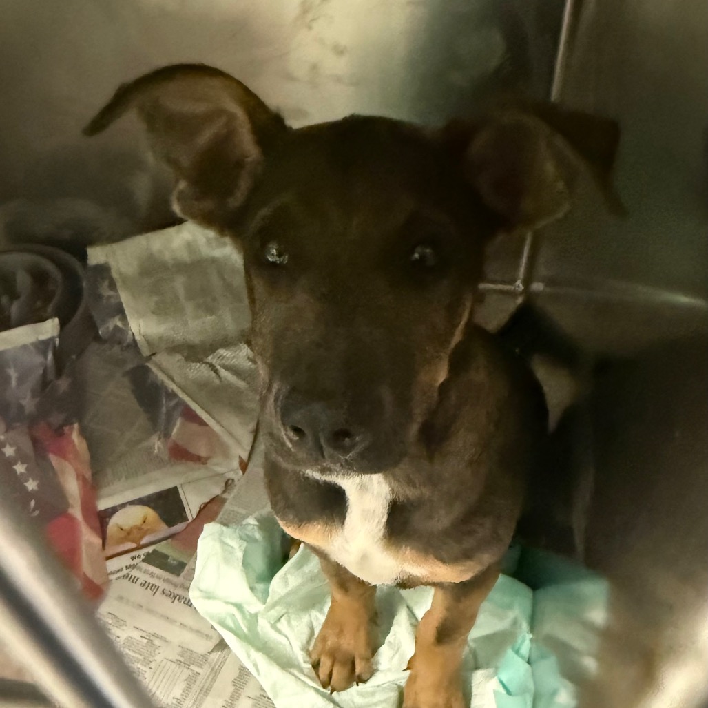 Asher — thumbnail 3