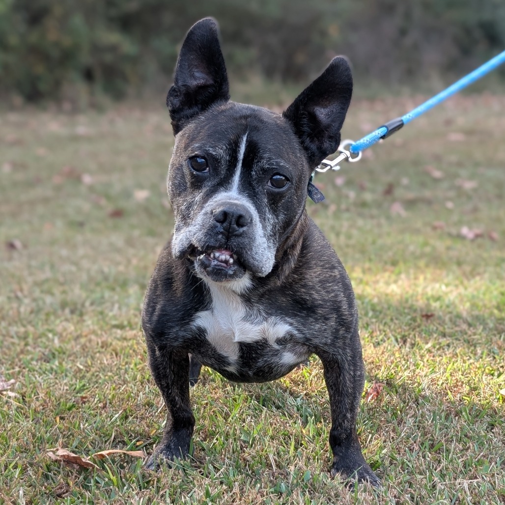Truman 12-0707, photo 12