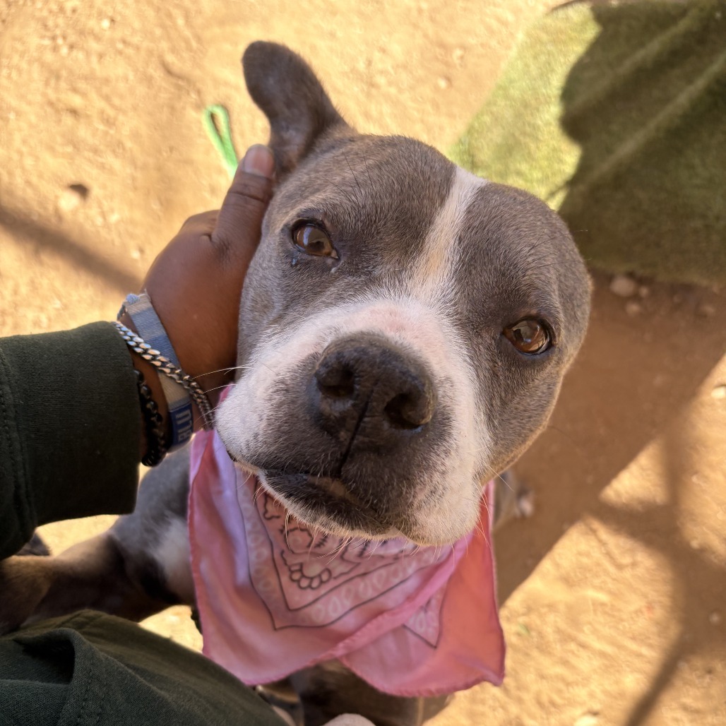 Goddess — thumbnail 11