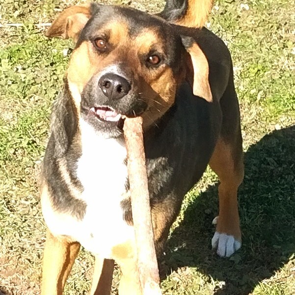 Maximilian — thumbnail 5