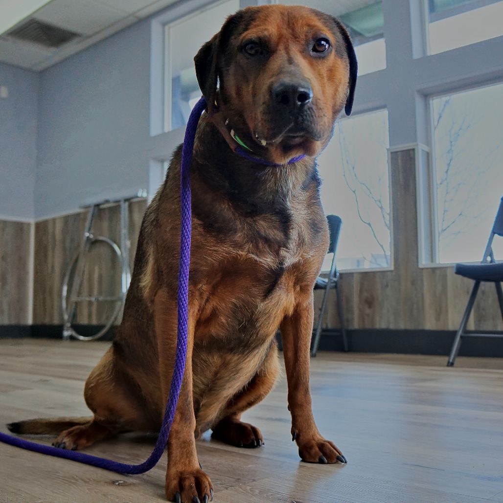 Timber — thumbnail 10