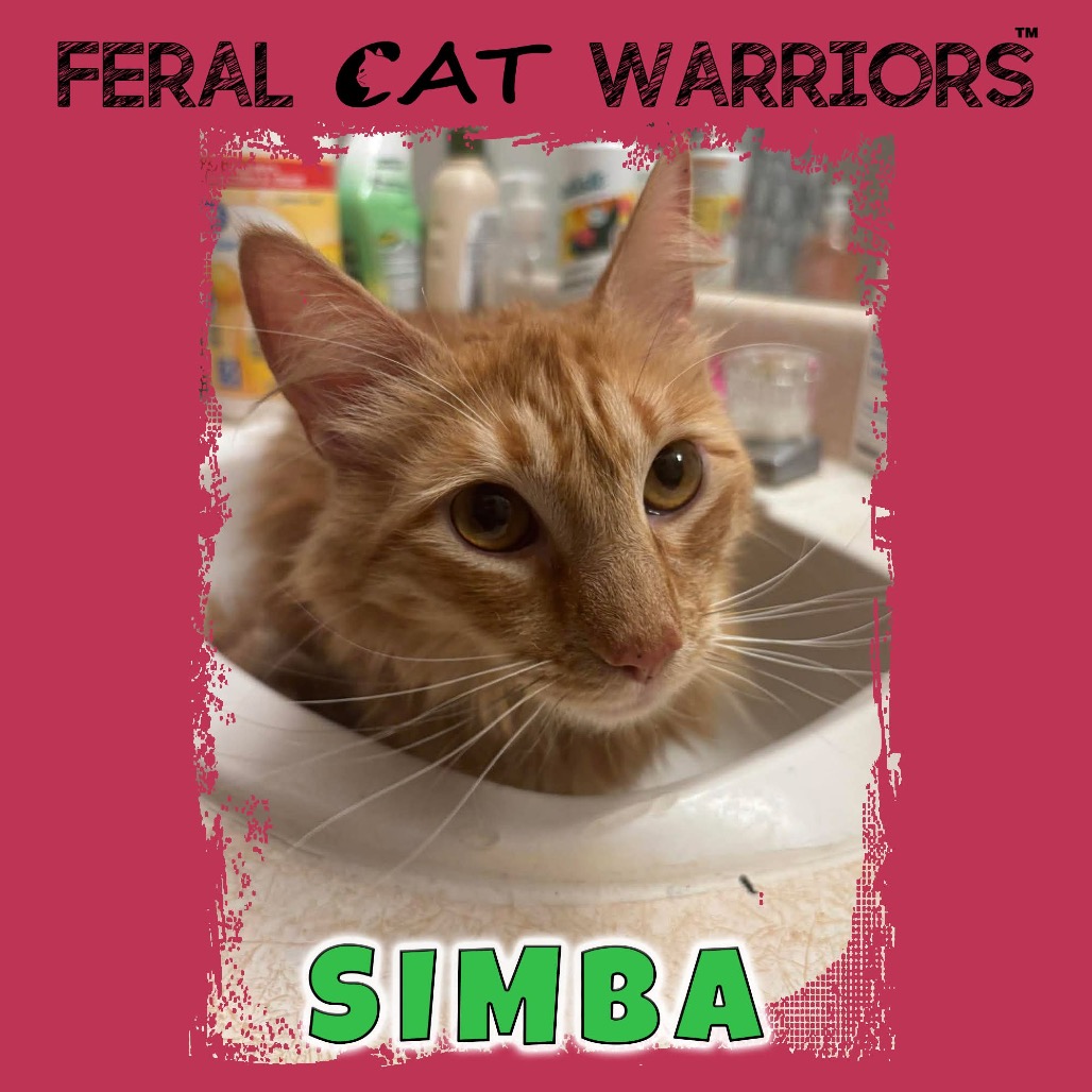 Simba