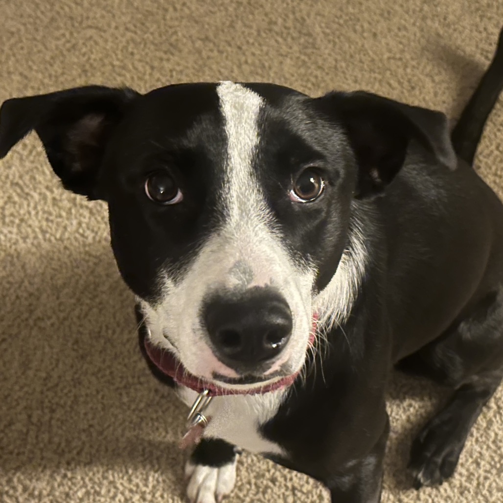 Esther