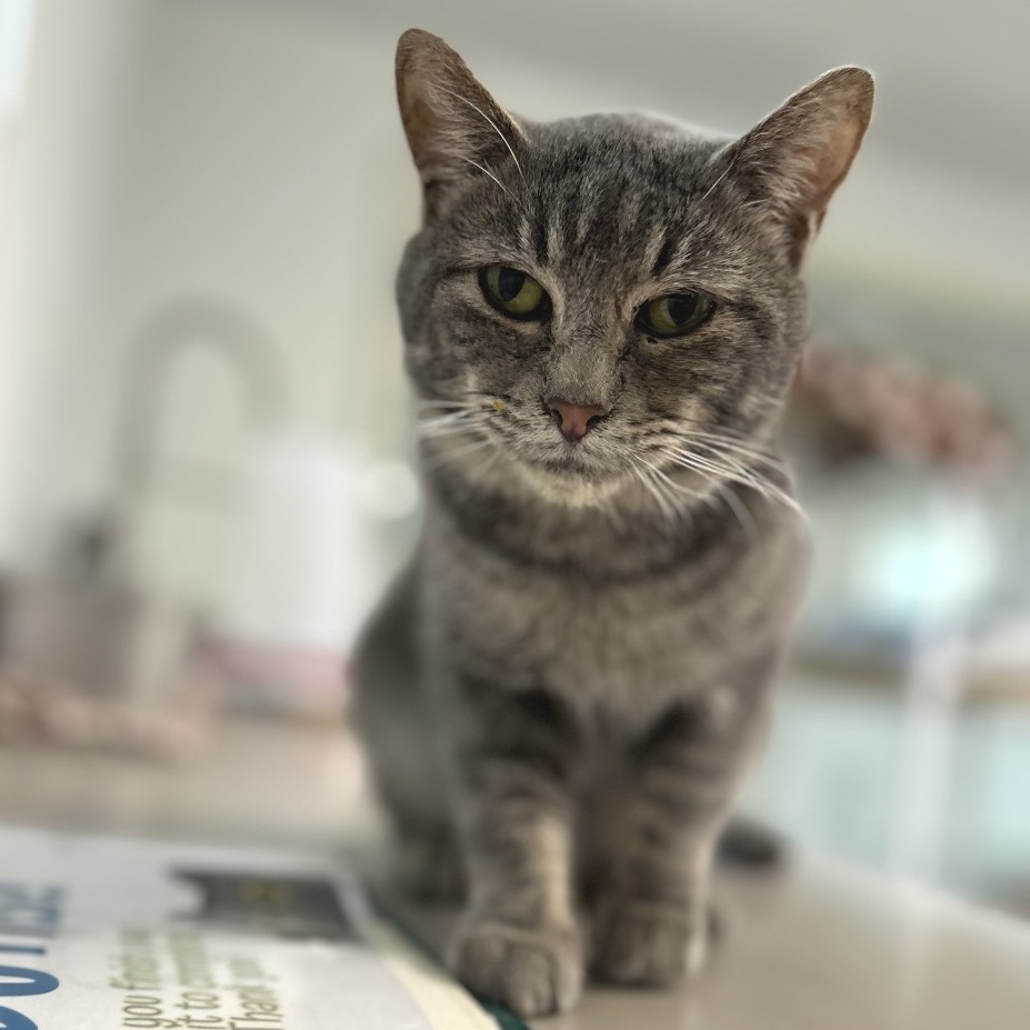 John Mayer — thumbnail 4