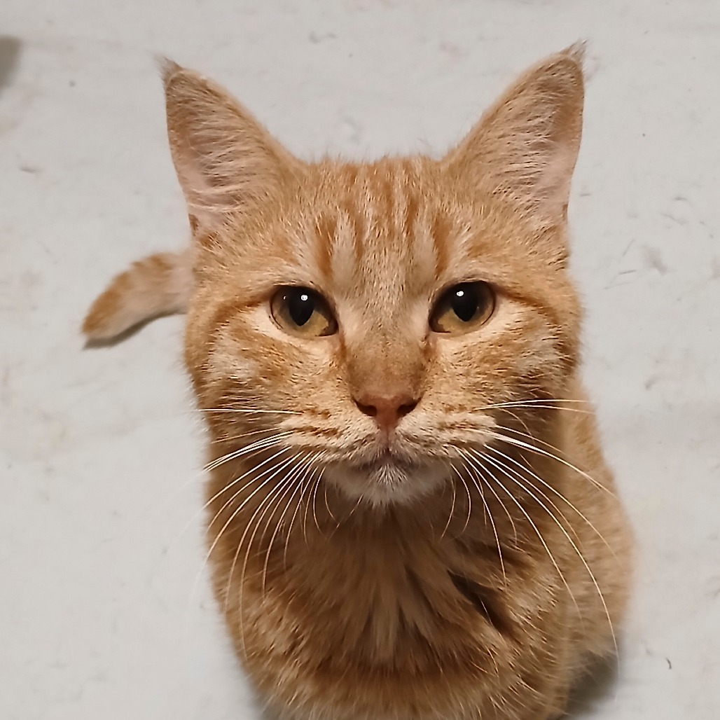 Jerry