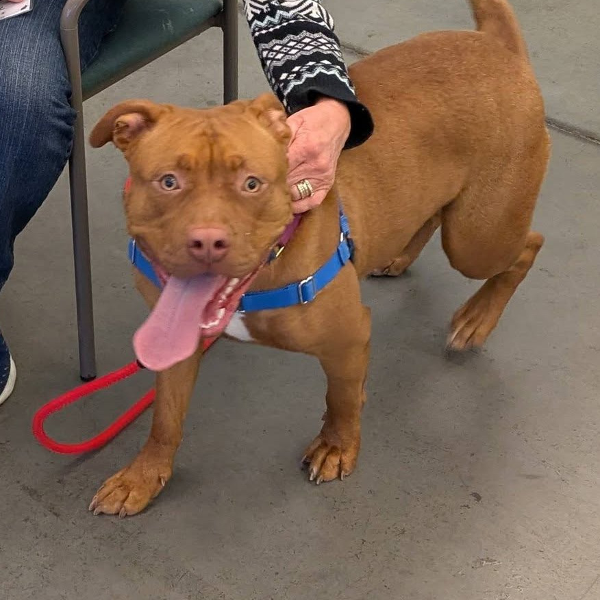 Photo of Charybdis 5