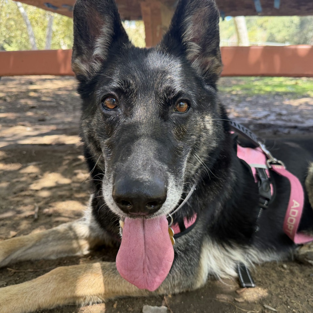 Ella