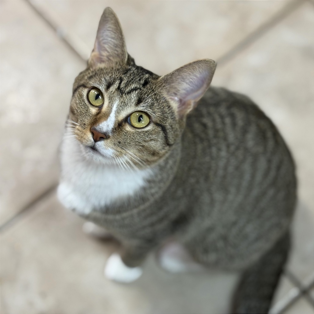 Photo of Wanderin’ Winnie playing
