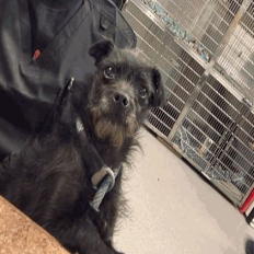 Thelma — thumbnail 2