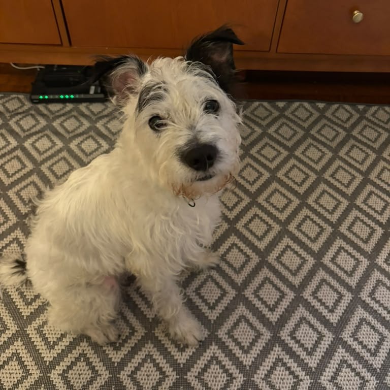Oscar