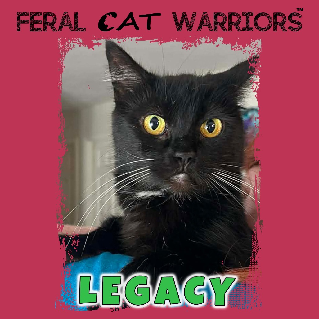 Legacy