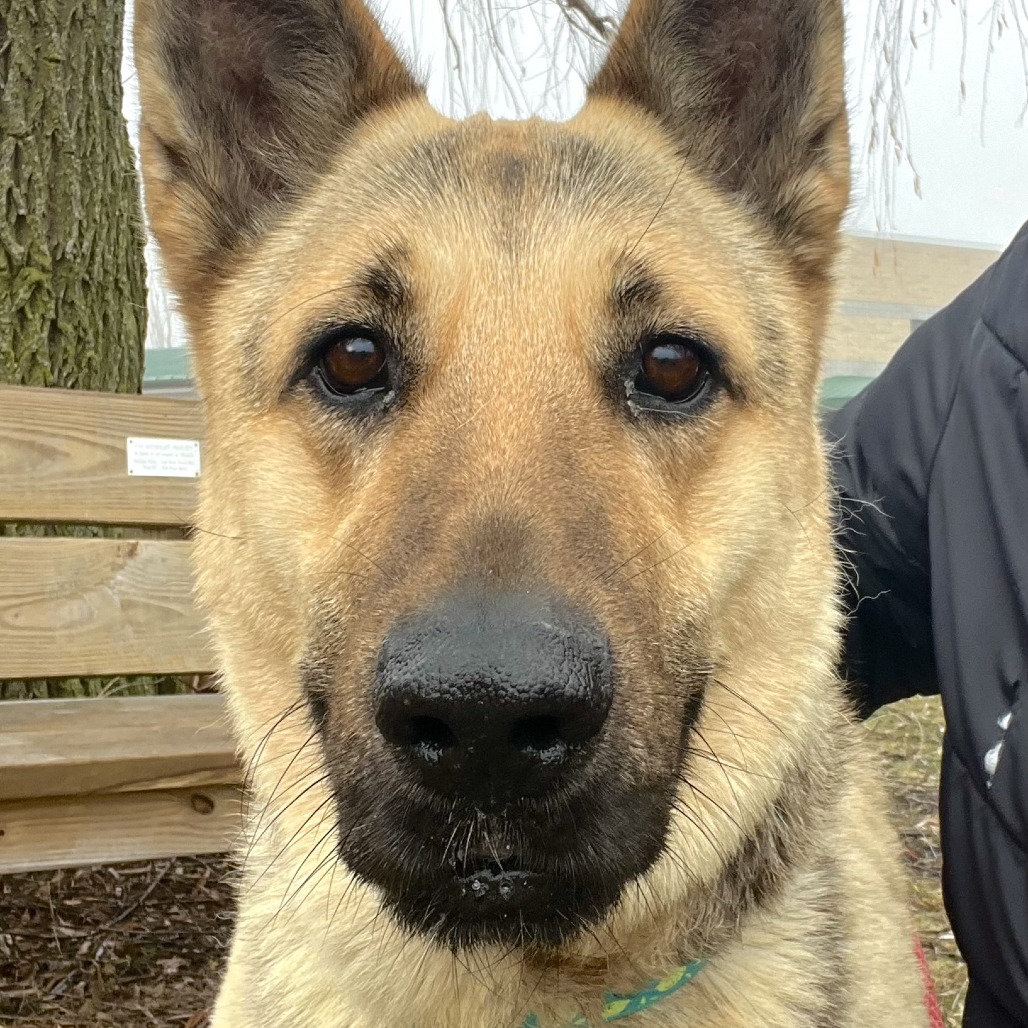 Chili — thumbnail 3