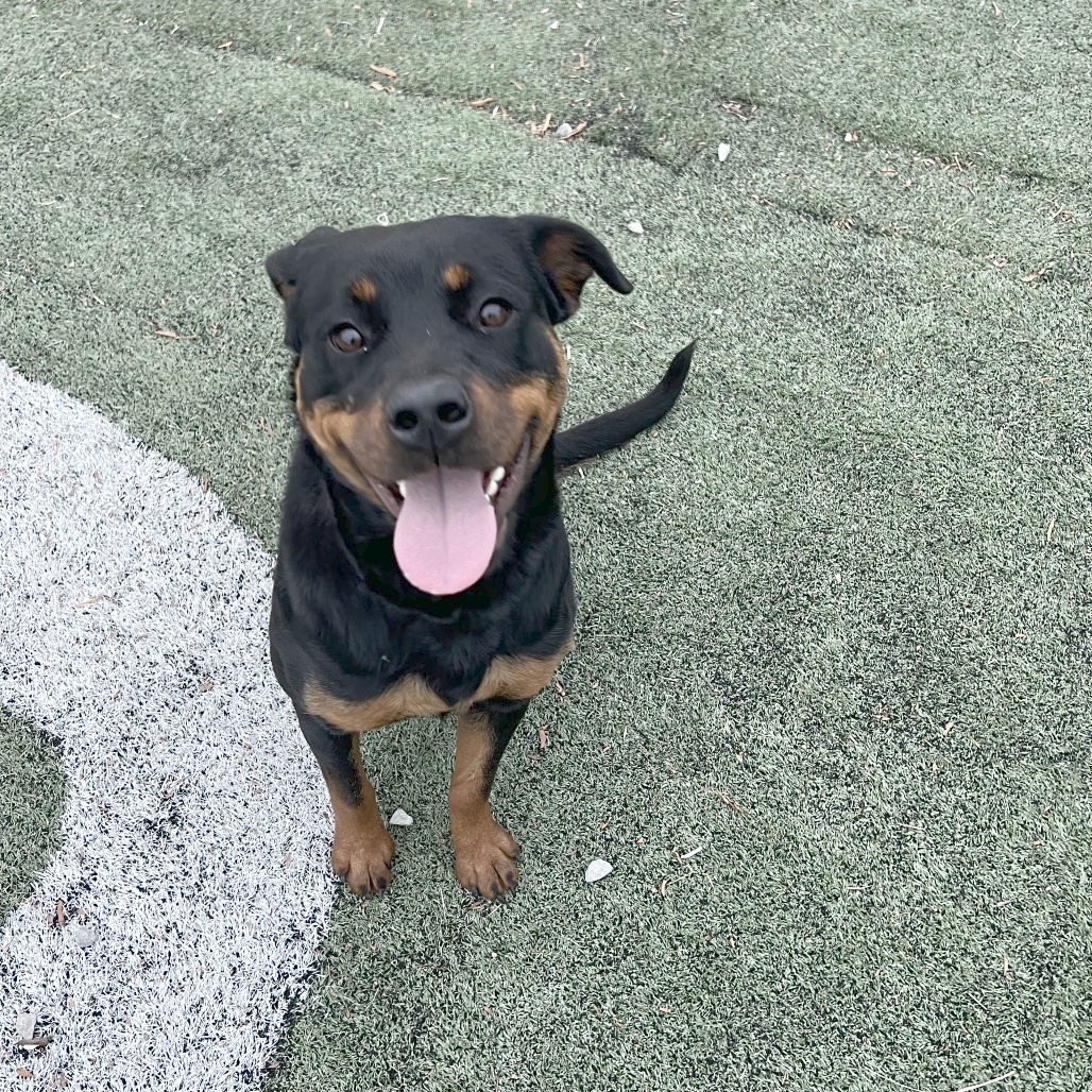 Charity — thumbnail 5