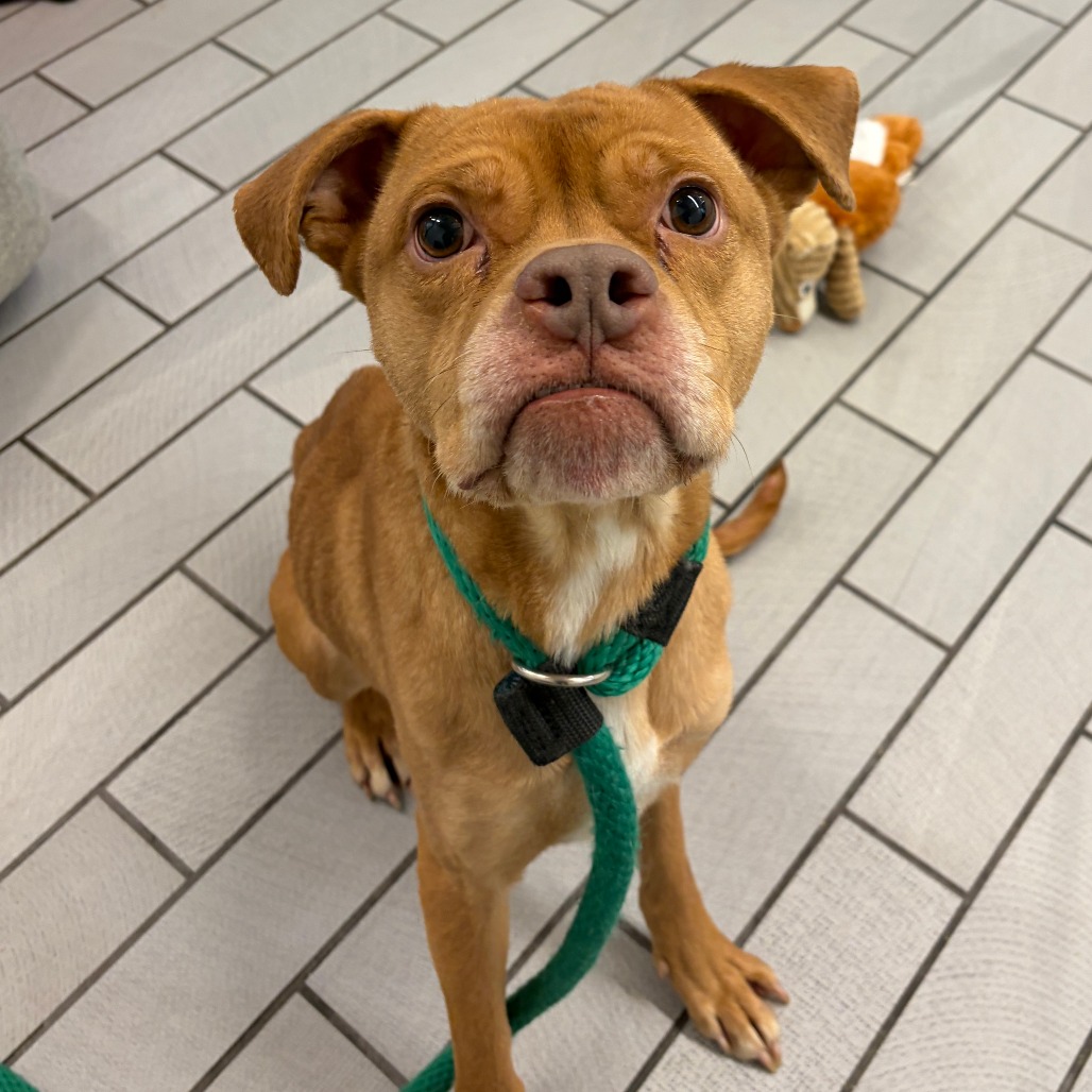 Nani — thumbnail 5