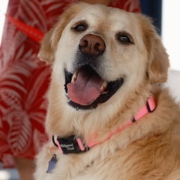 Bella