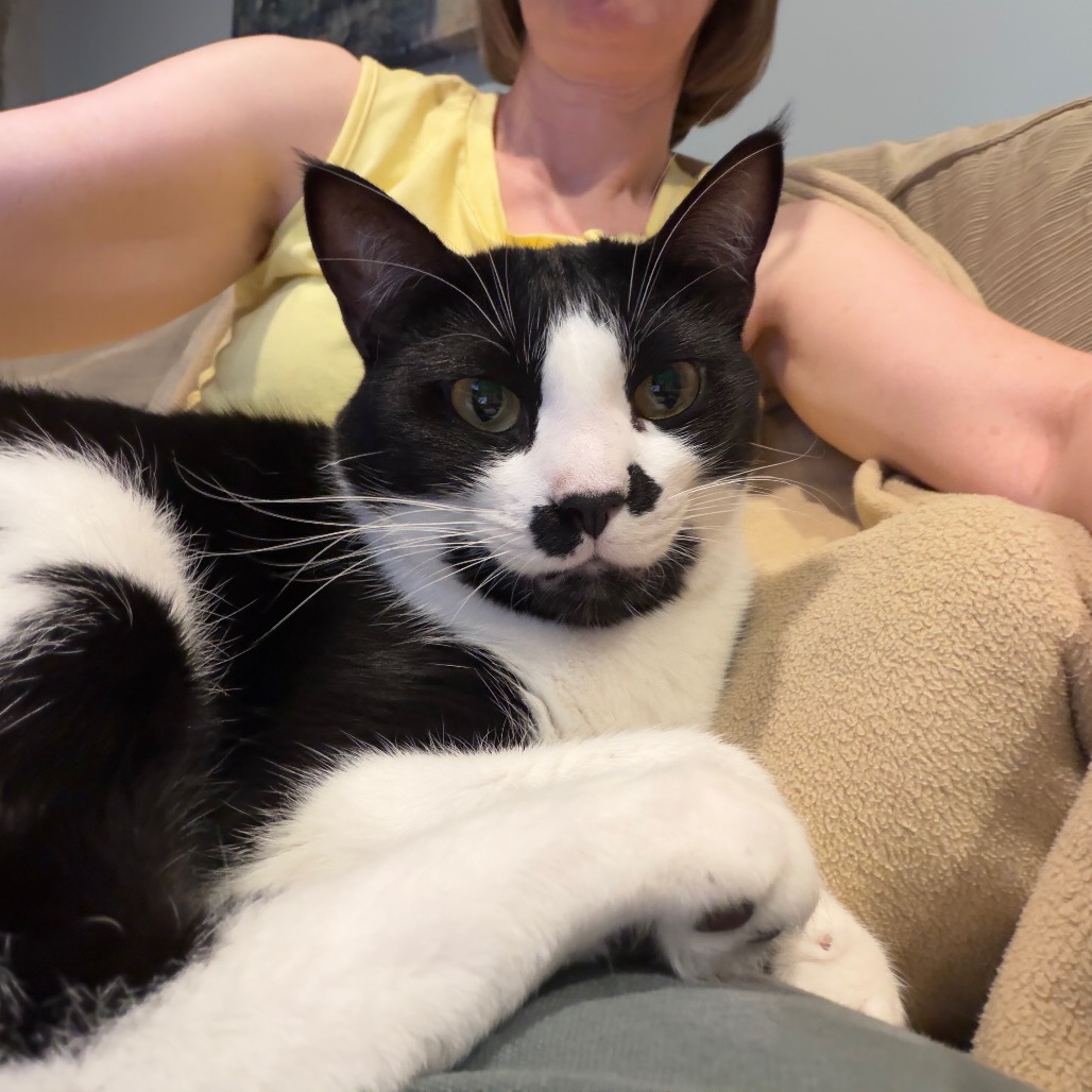 Charlie, photo 14