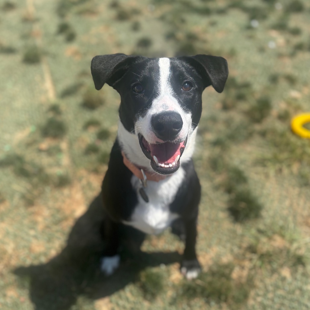 Esther