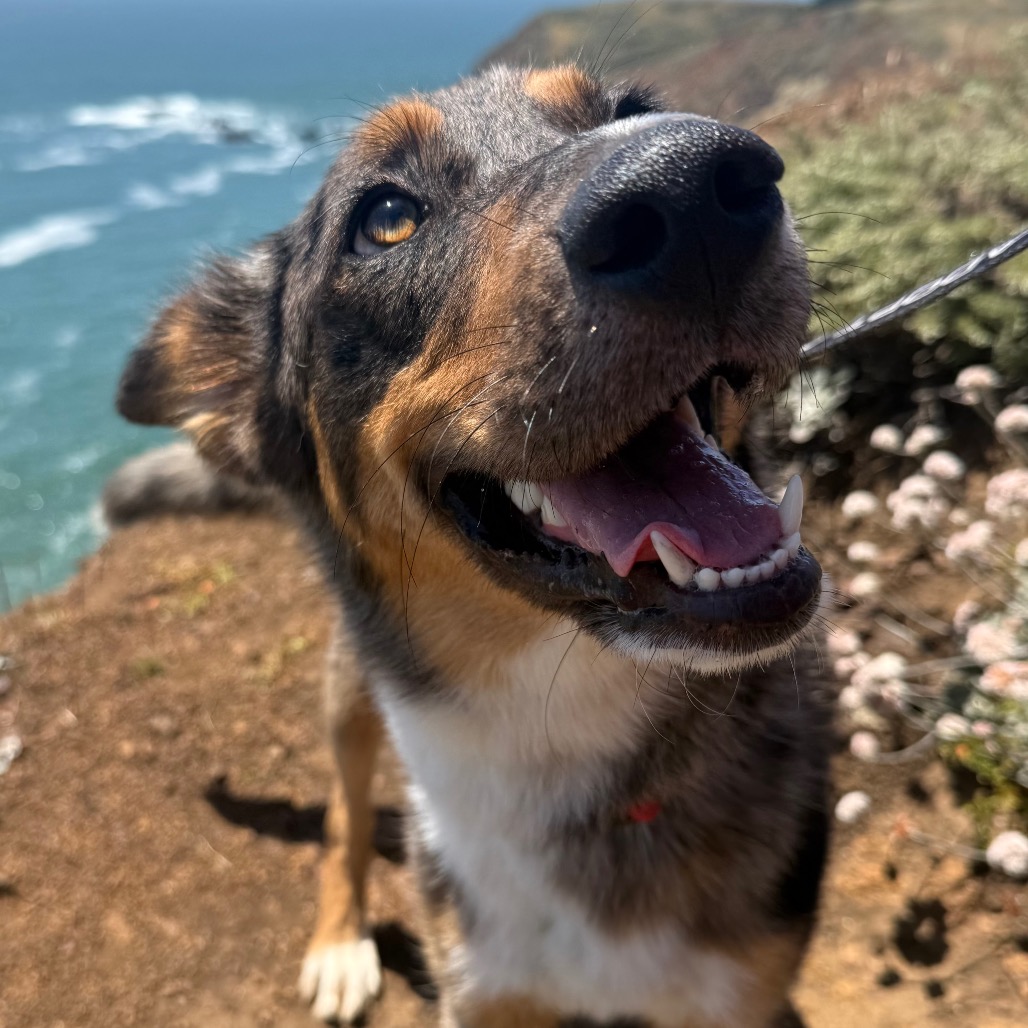 LEFTY, photo 14