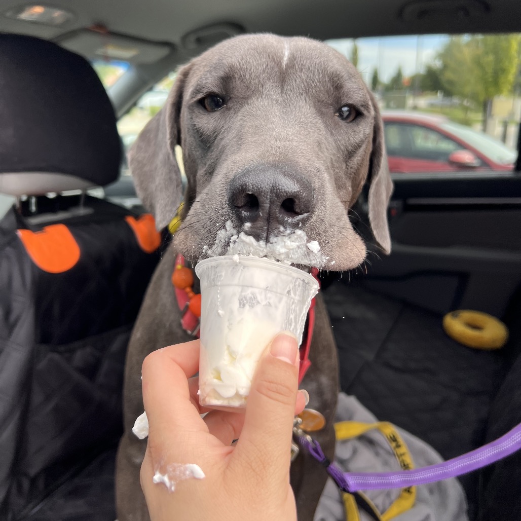 Nom Nom