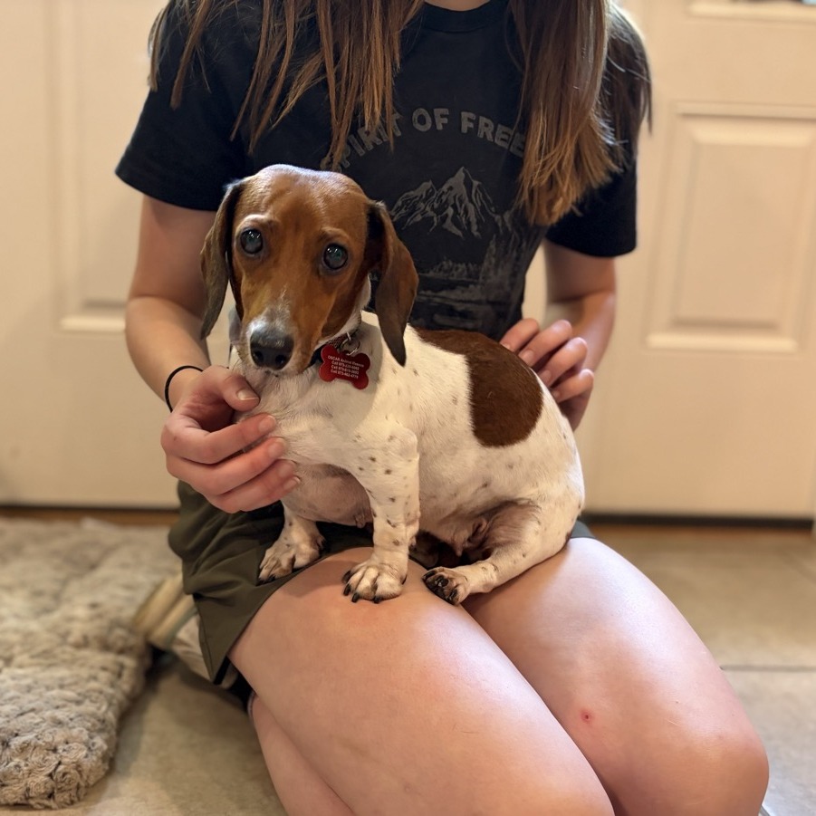Ellie