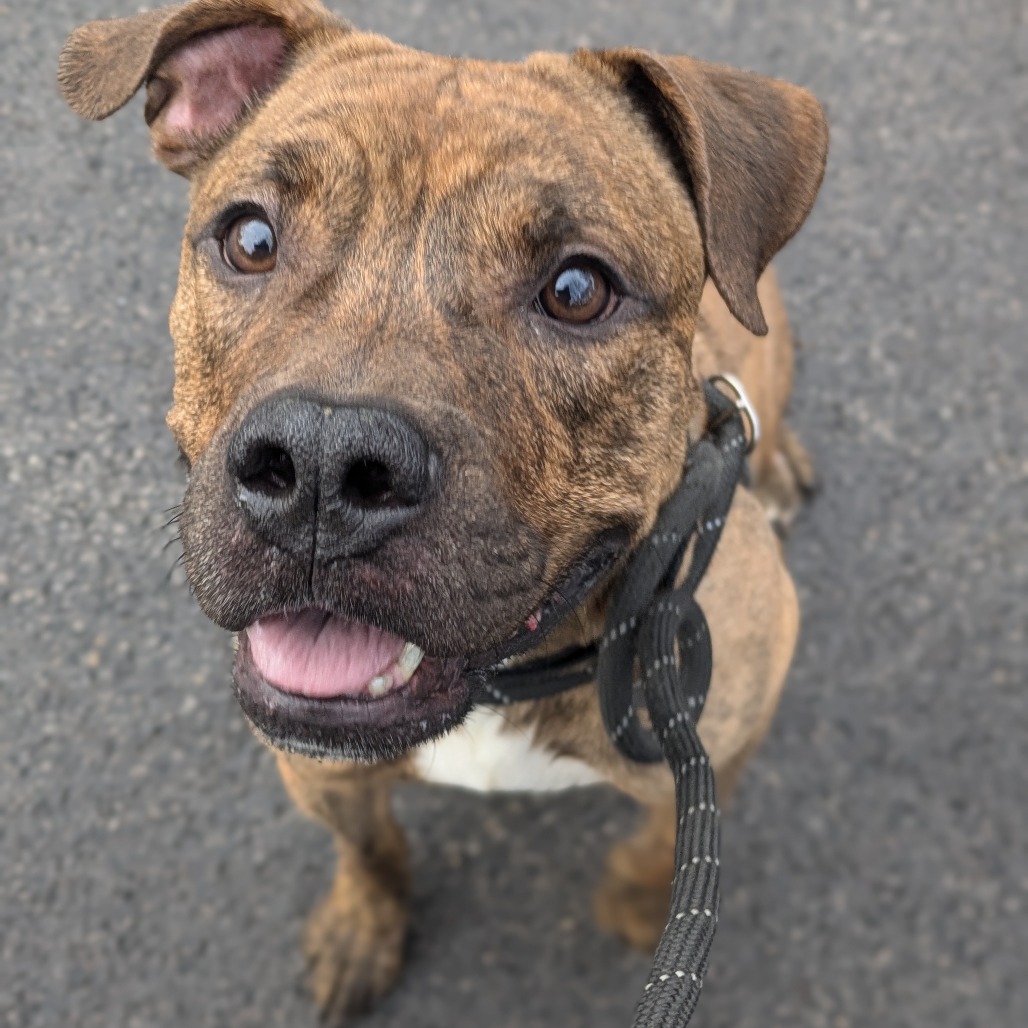 Jager — thumbnail 3