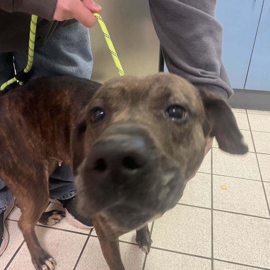 Lisa Frank — thumbnail 2