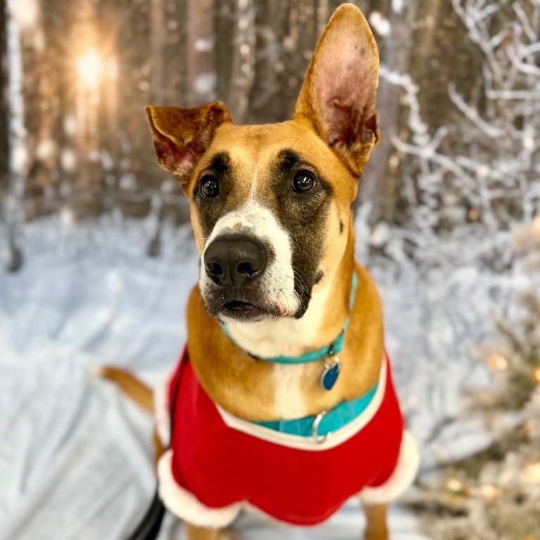 Full body shot of Peele