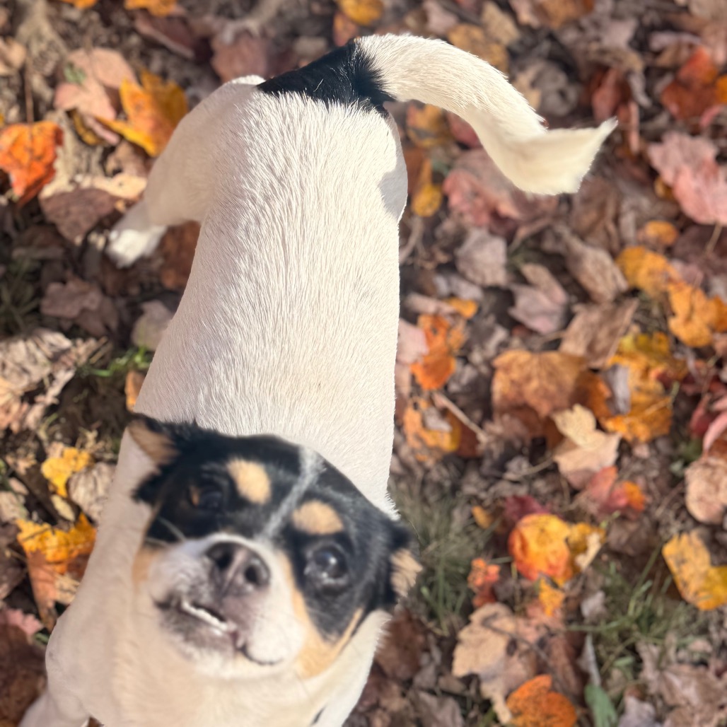 MYA, photo 17