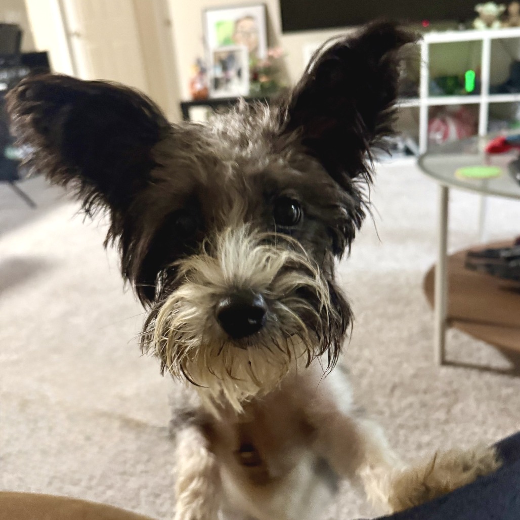 Sally, photo 16