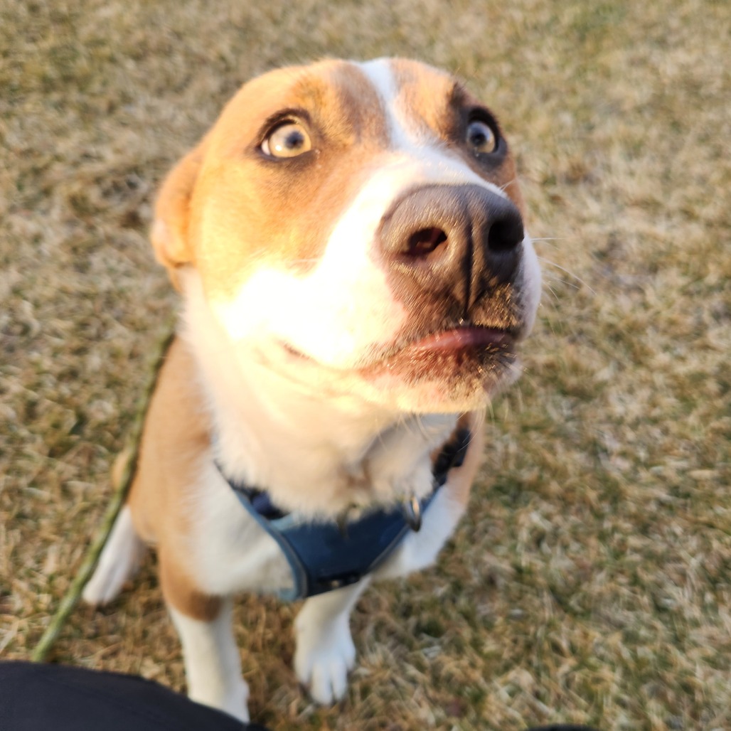 Shadow — thumbnail 4