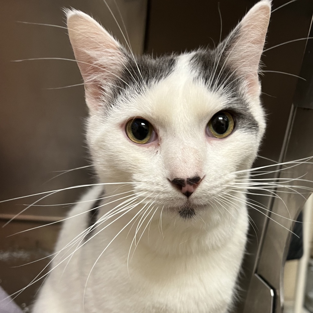 6d8faa87f5da0079fe01ab583719ed3b