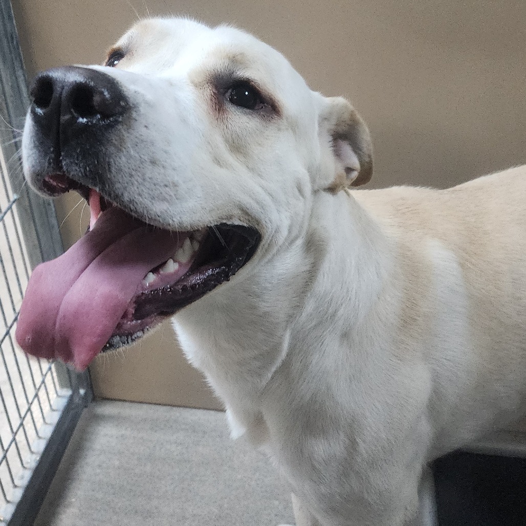 Kennel#25 Murphey's preview photo