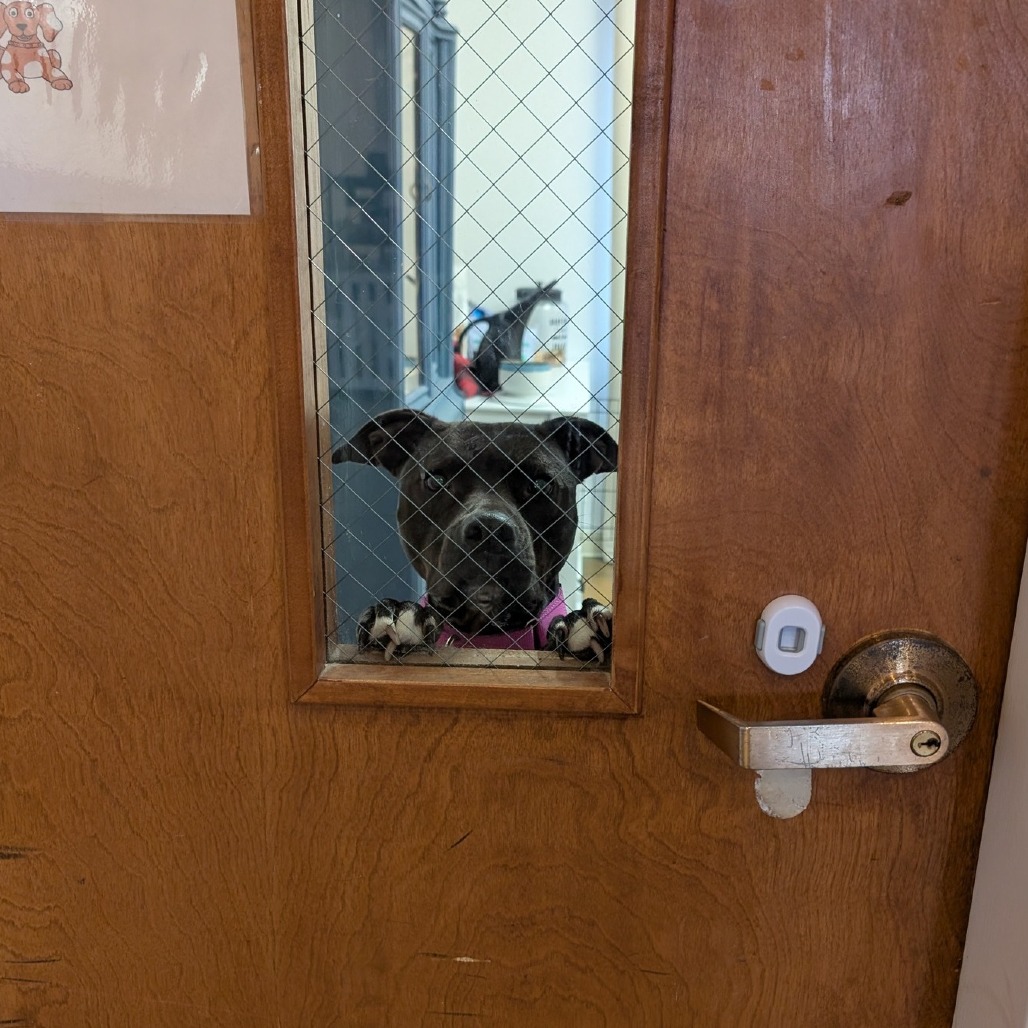 Milly 02-1509, photo 7