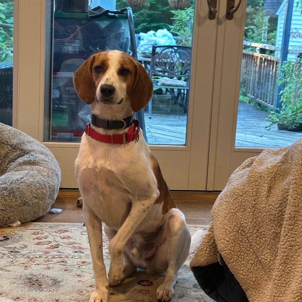 Tony — thumbnail 3