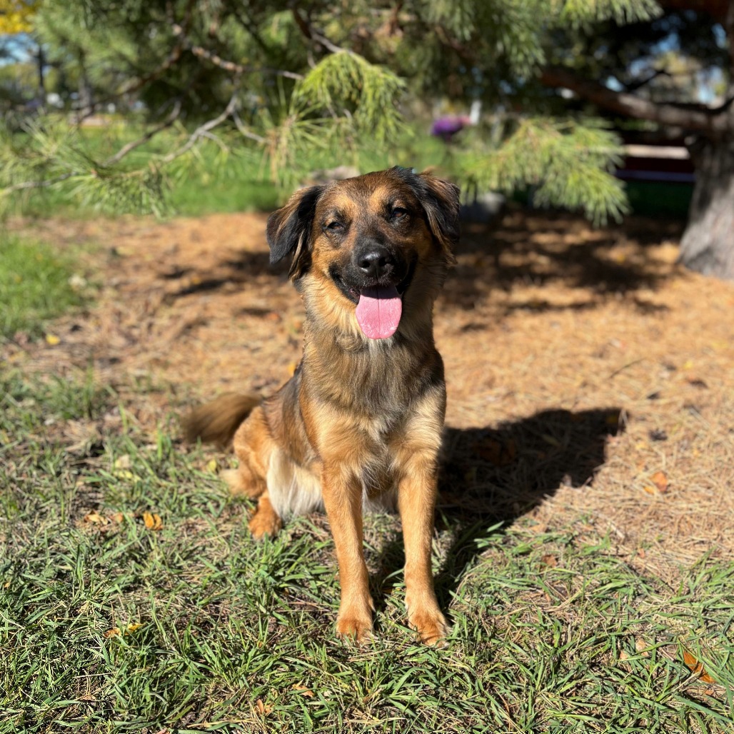 Elara--In Foster