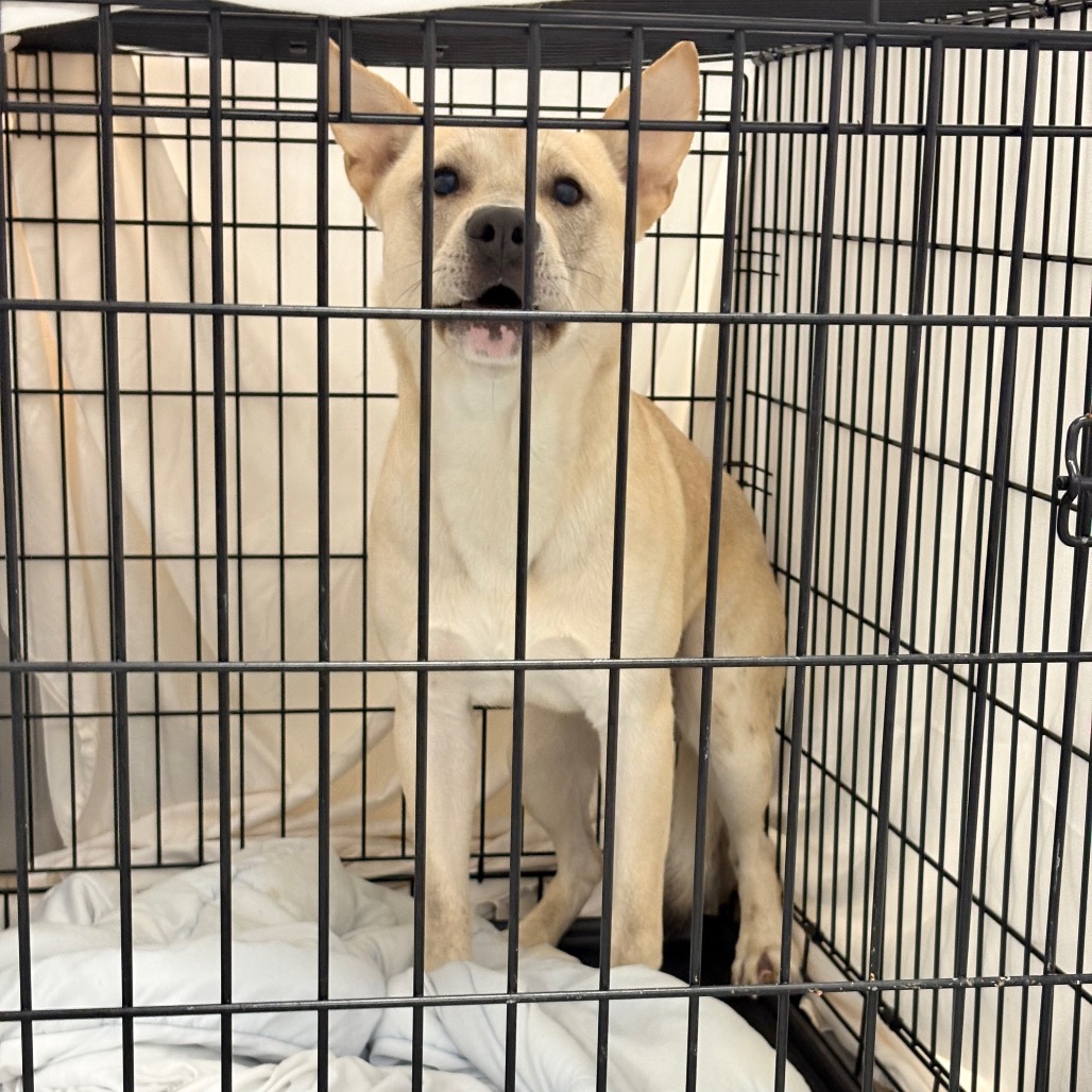 Brendon — thumbnail 3