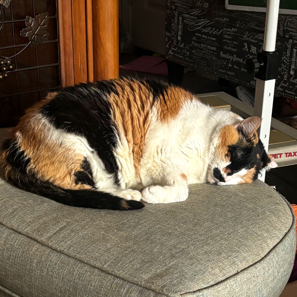 Chrissy — thumbnail 10