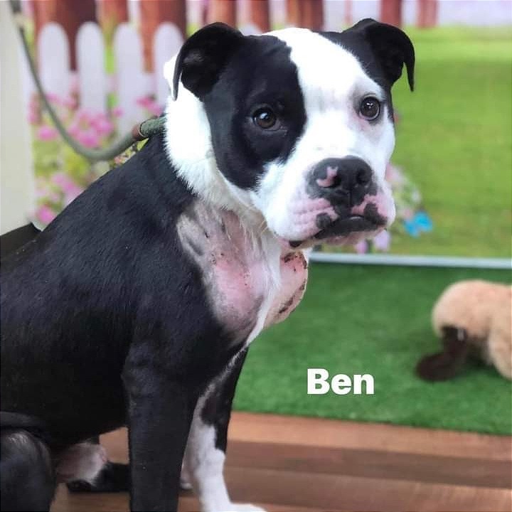 Photo of Ben