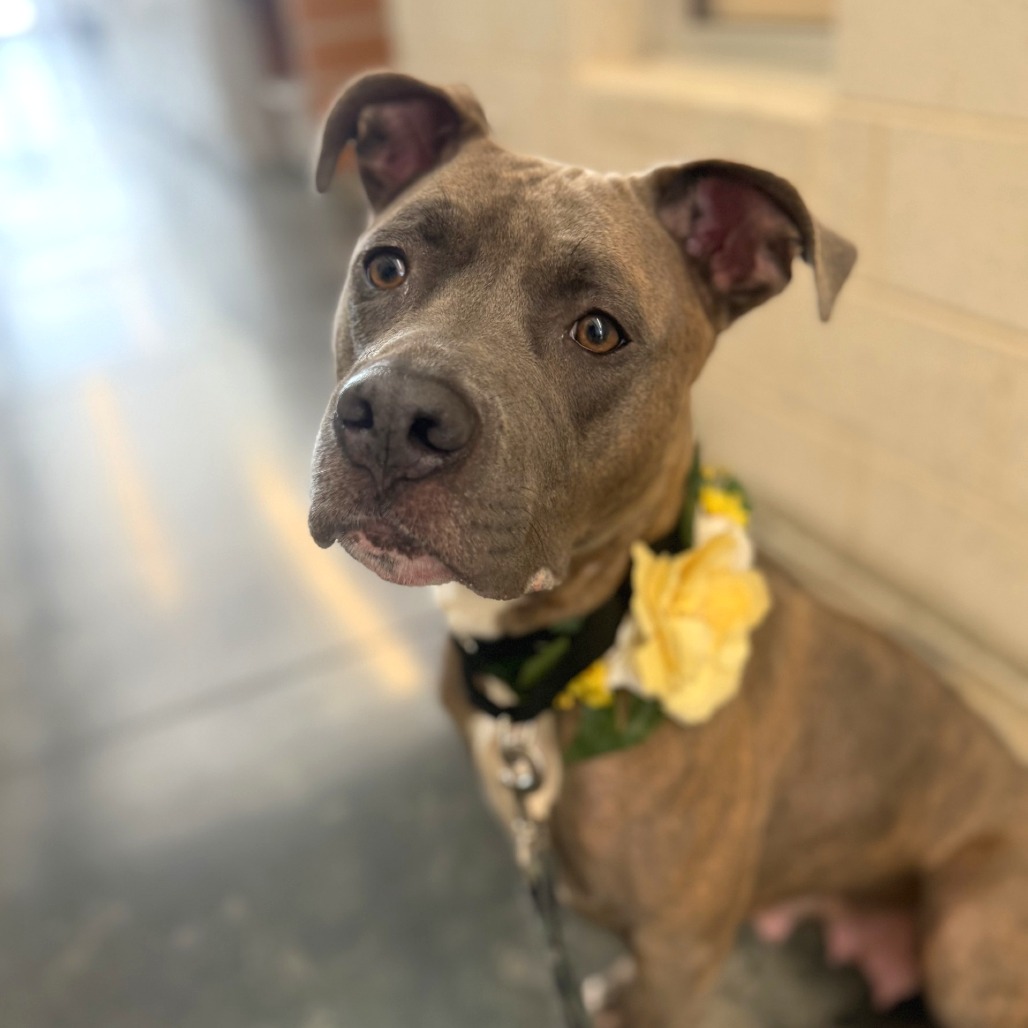 Photo of Genevieve 