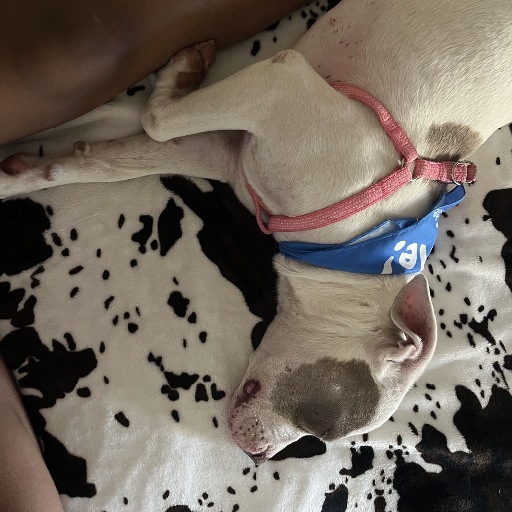 Missy photo 9