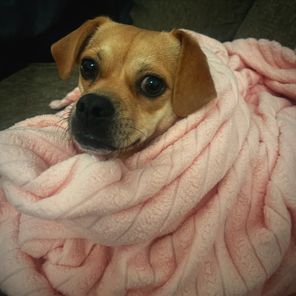 Thelma — thumbnail 3