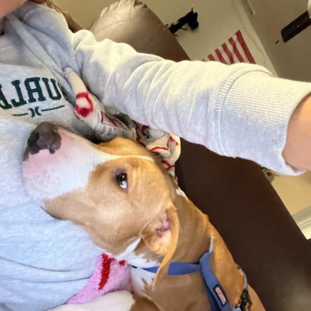 Kaycee — thumbnail 4