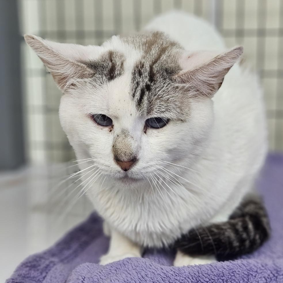 A#117b's preview photo